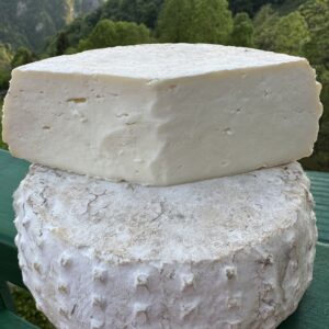BACIOTTELLA 2.0